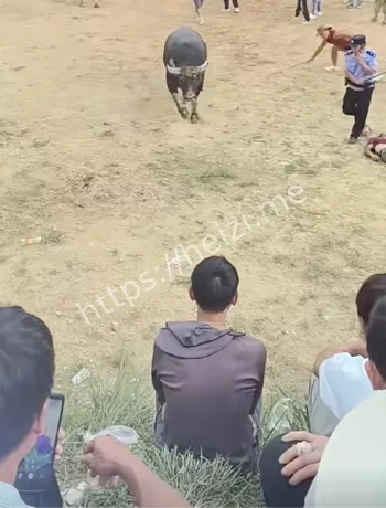 贵州惠水