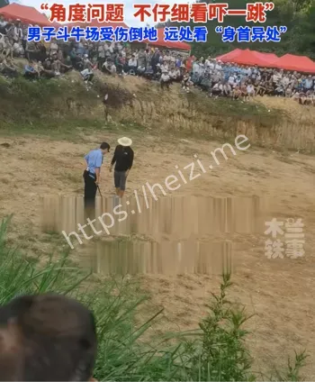 贵州斗牛