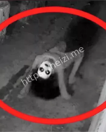 监控拍摄恐怖