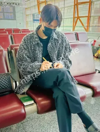 美女成群