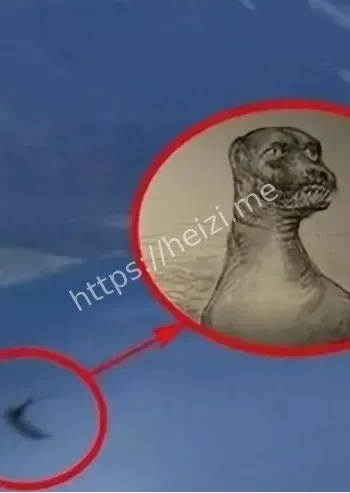 天池神秘生物