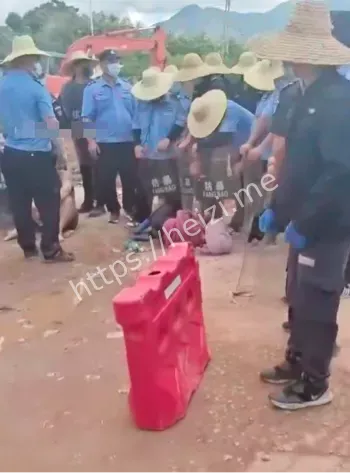阳西上洋修路
