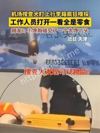 搜查犬盯上可疑行李箱