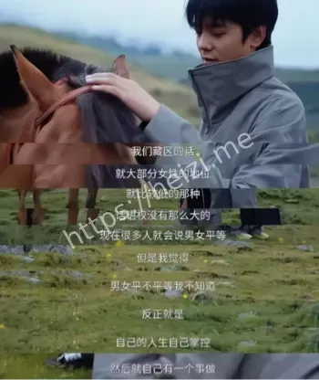 网红成长