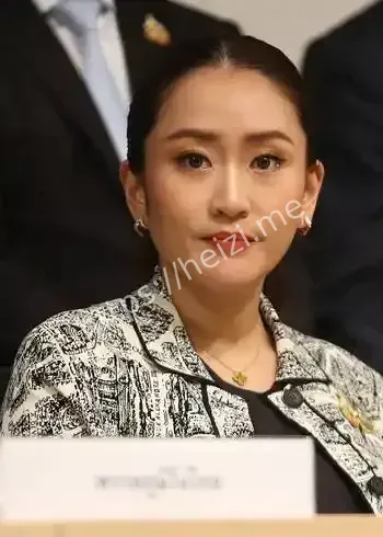 佩通坦解职