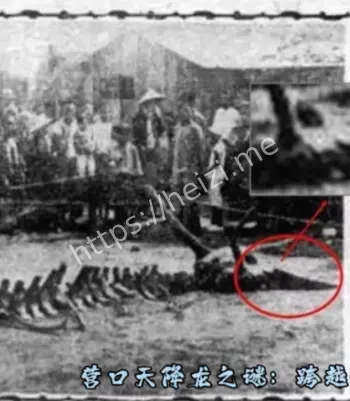 石家庄