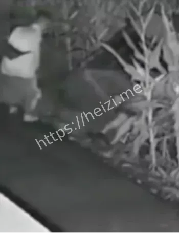 汤圆妈妈