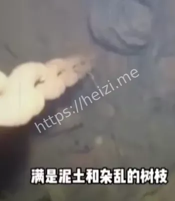 民俗传说