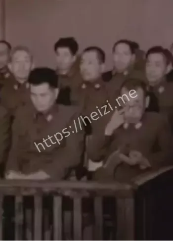 东北细菌实验