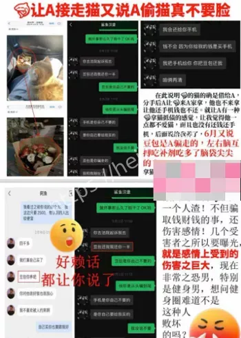 健美圈