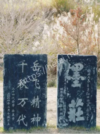 岳飞