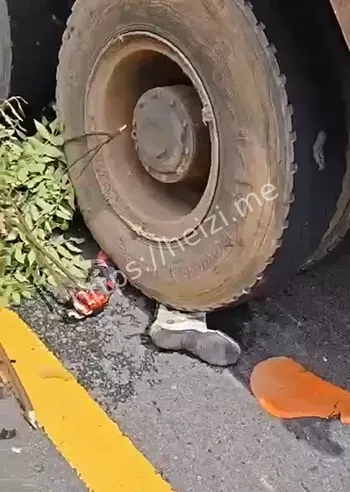 女骑士
