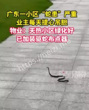 广东蛇患频发