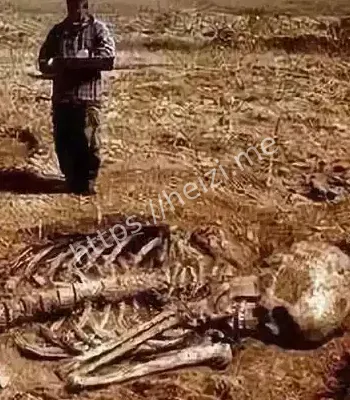 巨人遗骸挖掘内幕