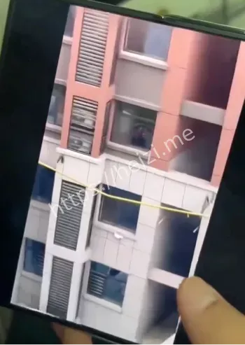南和明德园