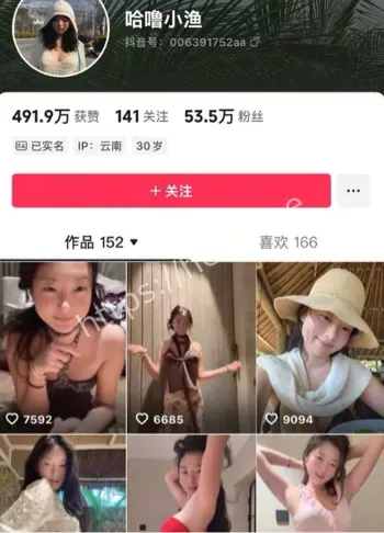 哈噜小渔