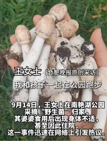 路边蘑菇别碰