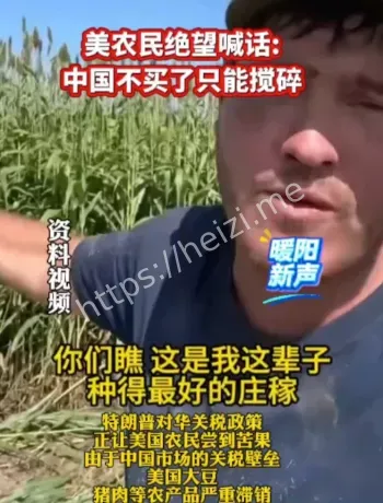 美豆中国采购缺席