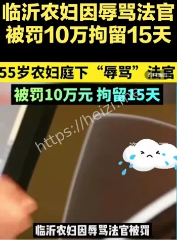 临沂法院处罚