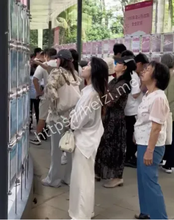 涂龙回应