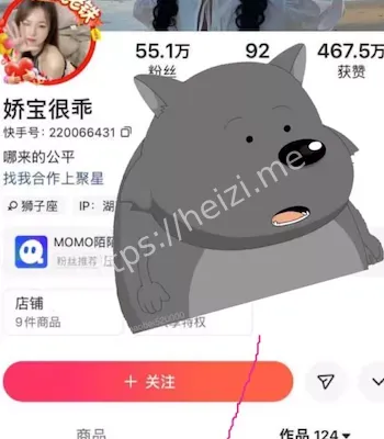 快手网红