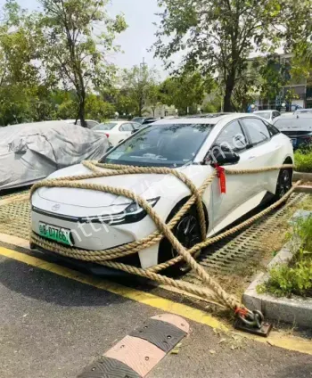 桦加沙