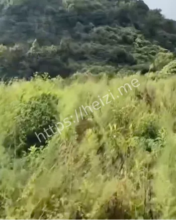 救援过程