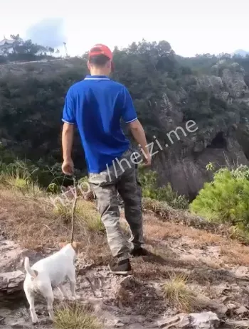 崔士辉