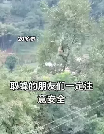 宜宾筠连