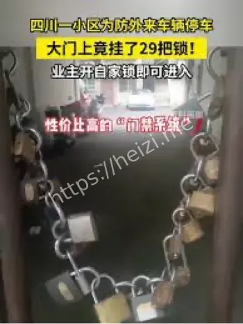 小区大门29把锁