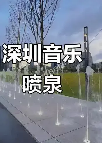 参众两院换帅与制度观察
