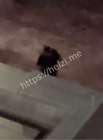 北海艺术设计学院