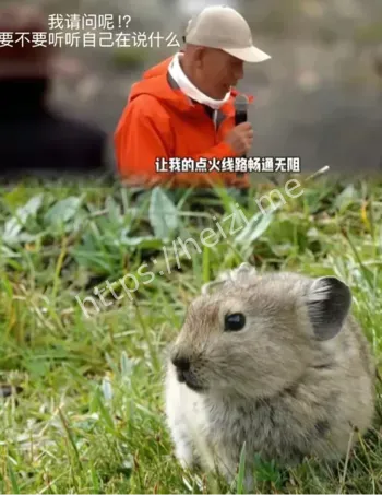 烟花秀翻车