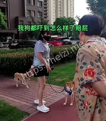 上海遛狗女子