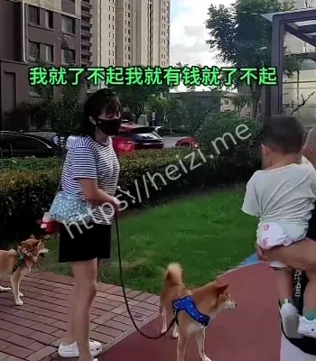 不拴绳争议