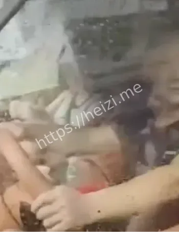 网传视频真伪辨析