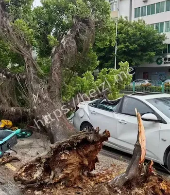 台风灾害