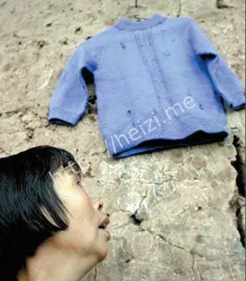 调查真相揭秘
