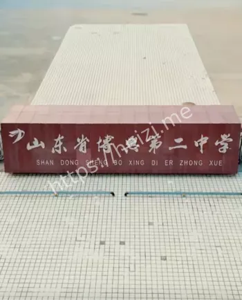董媛出轨