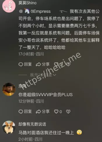 景区周边停车管理乱象