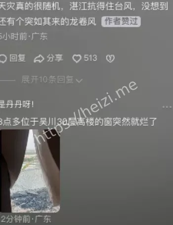 雷州龙门镇EF0个案