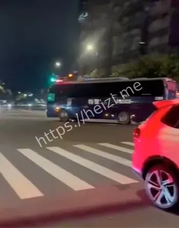 金迪乐天被查