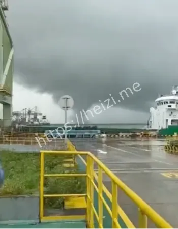 台风博罗依救援进展启示