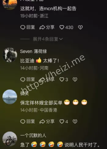 网络黑公关