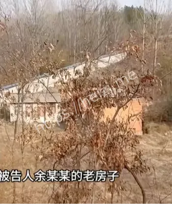 罗大美