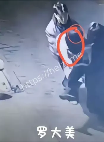 罗大美遇害案