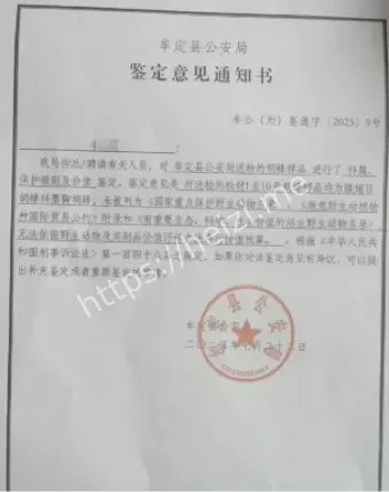 7岁哥哥2岁妹妹死亡