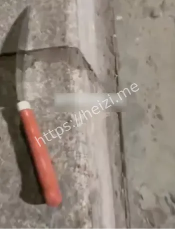 精神小伙互殴