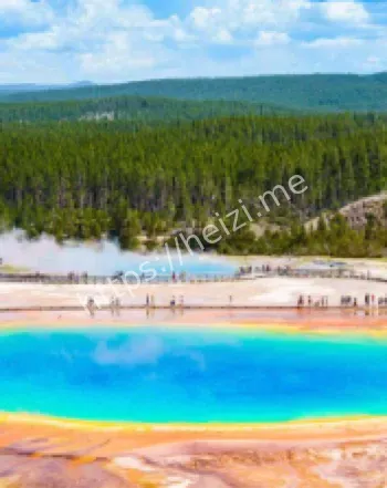大棱镜温泉微生物