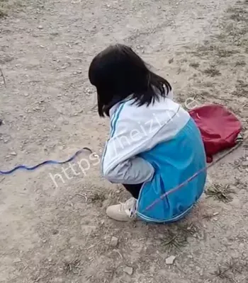 精神小妹